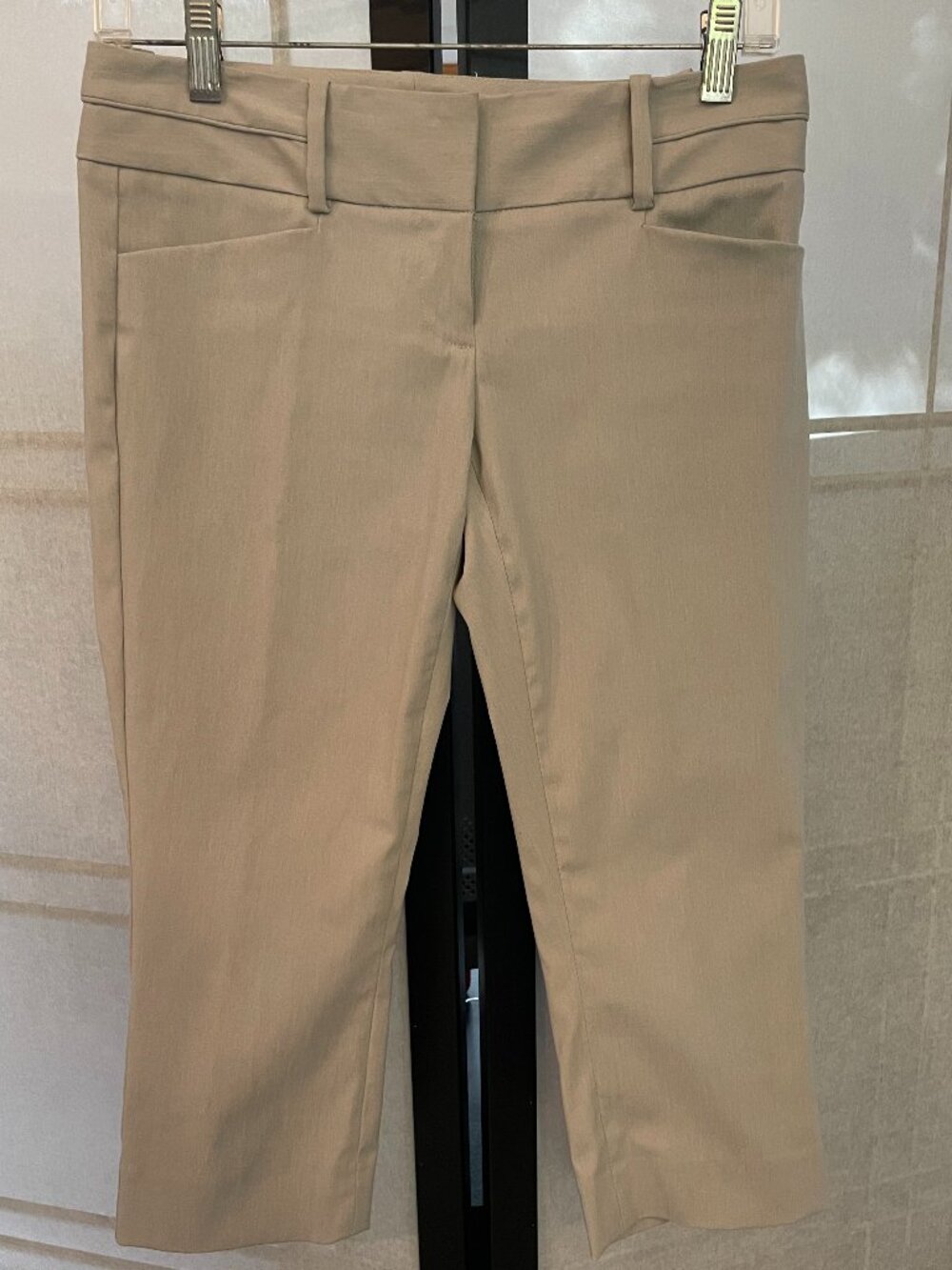 The Limited Exact Stretch Capri Pants